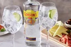 Cin Tonic